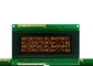 DFSN 20x4 Character LCD Module With LED Backlight English - Japanese