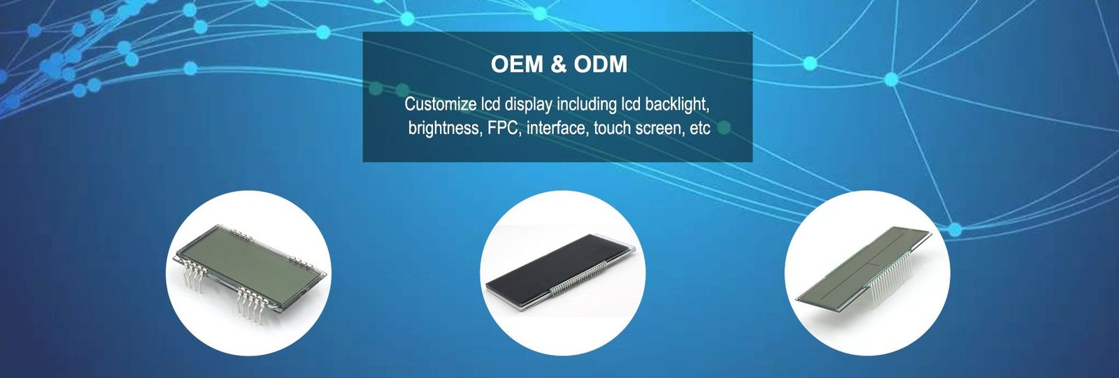 Custom LCD Display