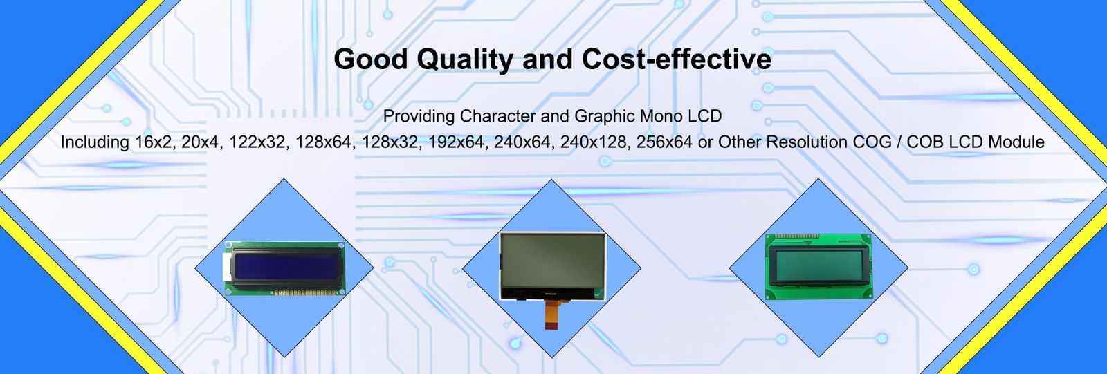 Graphic LCD Module