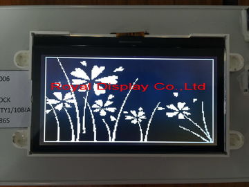 Small Size Standard COG Graphic LCD Module DFSTN LCD Type RYG19264B 