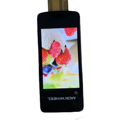 IPS 3.1'' TFT LCD Display 480rgbx800 Resolution Screen With Boe Glass