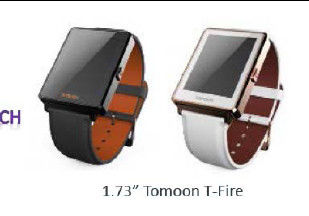 1.73 Inch E Ink Paper Display , Smart Watch E Ink Display HINK-E0173A02