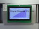 Wide Operation Graphic LCD Module For Clusters / Car Radios / Air Conditioner