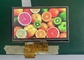 RGB Interface TFT LCD Module 5inch 480×272 IPS Color Display
