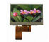 4.3 Inch Colour Lcd Display Module For Office Equipment / Autoelectronics