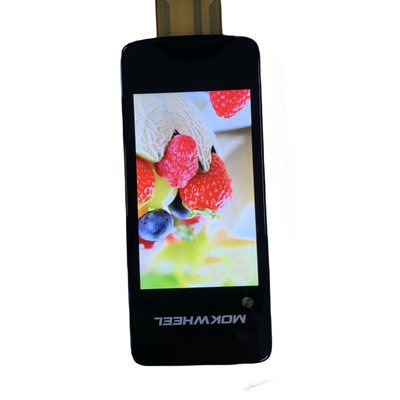 High Resolution 3.1inch 480*RGB*800 TFT LCD Module with BOE Glass