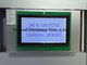 LCD Manufacturer Graphic LCD Display FSTN 240X128 Blacklight COB LCD Module Industrial
