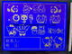320X240 Dots Customized Size Connector Rtp FSTN Positive Monochrome Panel LCD Module